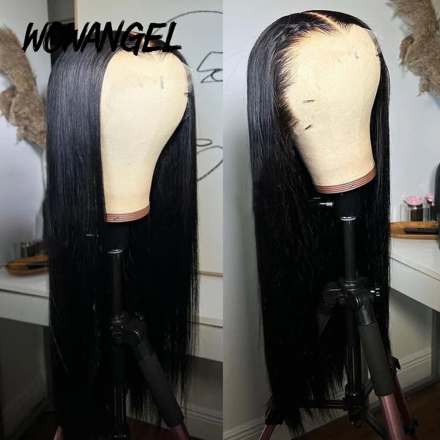 Straight HD Lace Front Wig